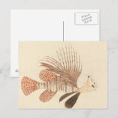 Luigi Balugani - Lionfish Briefkaart (Voorkant / Achterkant)