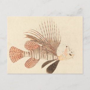 Luigi Balugani - Lionfish Briefkaart