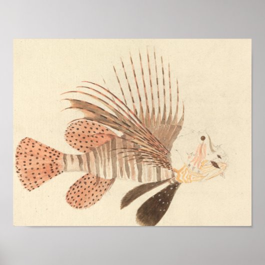 Luigi Balugani - Lionfish Poster (Voorkant)