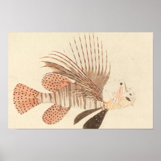 Luigi Balugani - Lionfish Poster (Voorkant)
