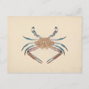 Luigi Balugani - Portunua Pelagicus - Blauwe krab Briefkaart