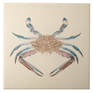 Luigi Balugani - Portunua Pelagicus - Blauwe krab Tegeltje