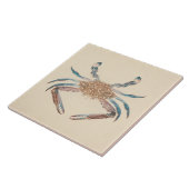 Luigi Balugani - Portunua Pelagicus - Blauwe krab Tegeltje (Zijkant)