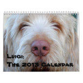 Luigi: De agenda 2013 Kalender (Hoes)