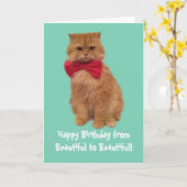 Luigi de Kaart van de Verjaardag van de Kat van de (Gele Bloem)