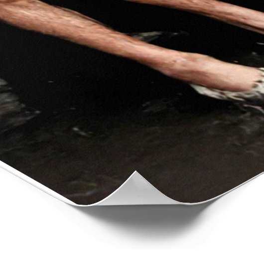 Luigi Ganna Cesare Brambilla Pierre Dane Giro d'It Poster (Hoek)