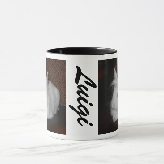 Luigi The Bunny Mok (Midden)