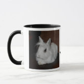 Luigi The Bunny Mok (Links)