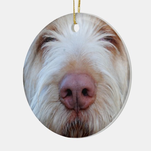 Luigi's Booper Ceramic Ornament (Links)