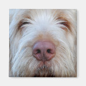 Luigi's Booper Koelkast Magneet (Voorkant)