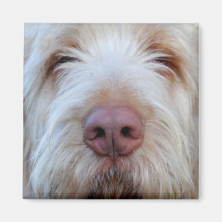 Luigi's Booper Koelkast Magneet