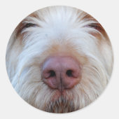 Luigi's Booper Sticker (Voorkant)