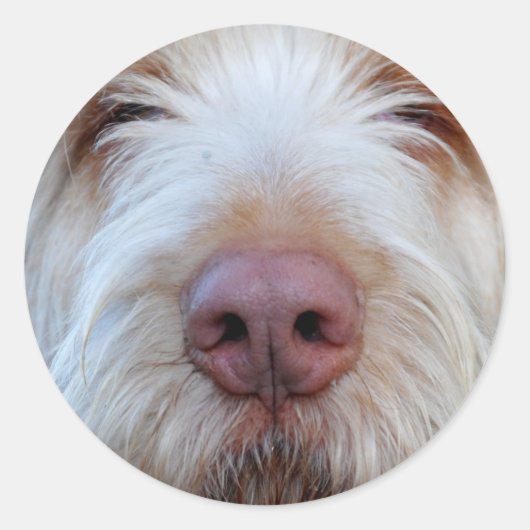 Luigi's Booper Sticker (Voorkant)