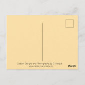 LUIPAARD #1 Briefkaart (Achterkant)