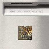 luipaard 2 magneet (Insitu (Vaatwasser))