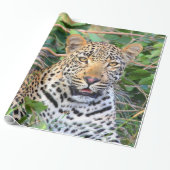 Luipaard 6 Verpakkingspapier Cadeaupapier (Uitgerold)
