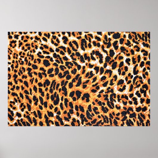 luipaard als achtergrondse luipaard, patroon, druk poster (Voorkant)