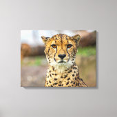 luipaard canvas afdruk (Voorkant)