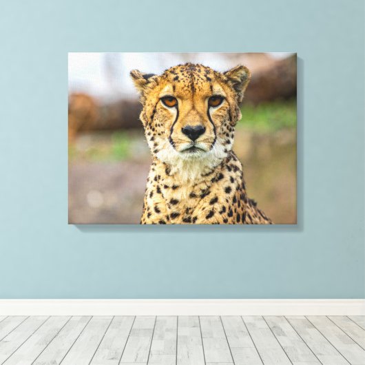 luipaard canvas afdruk (Insitu (Houten vloer))