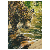 Luipaard die een stroomfoto doorkruist klembord (Achterkant)