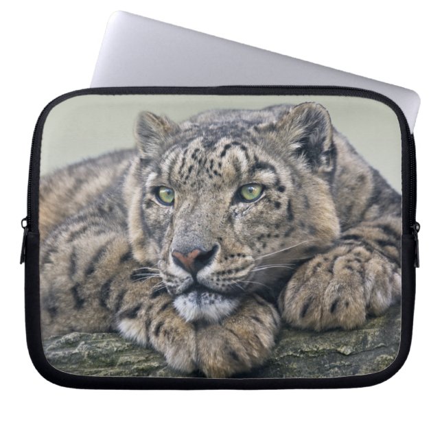 Luipaard Droom Laptop Sleeve (Voorkant)