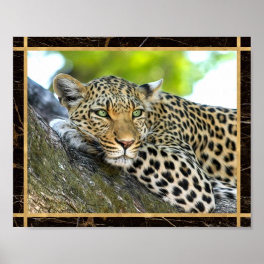 Luipaard Foto Afbeelding Print Poster (Voorkant)