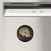 Luipaard Gecko Magneet (Insitu (Vaatwasser))