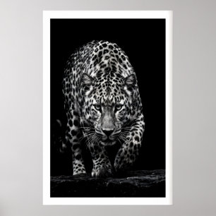 Luipaard Gezicht Muurkunst Monochroom Wilde Dieren Poster