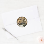 Luipaard gezicht ronde sticker (Envelop)