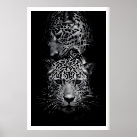 Luipaard Gezichten Print Zwart en Wit Wilde Dieren (Voorkant)