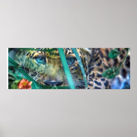 LUIPAARD GROENE OGEN STARER POSTER (Voorkant)