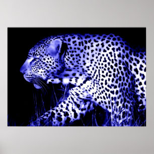 Luipaard in Blue Night Poster Pop Art Wilde Dieren
