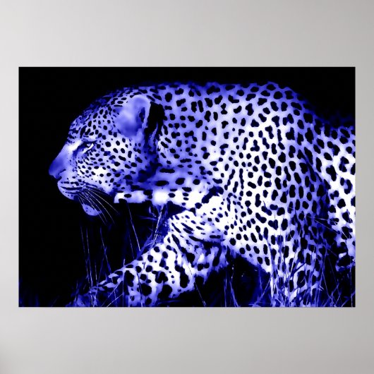 Luipaard in Blue Night Poster Pop Art Wilde Dieren (Voorkant)