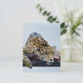 Luipaard in de boom II Briefkaart (Staand voorkant)