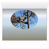 Luipaard in een boom in Afrika (Binenzijde Horizontaal (Onderkant))