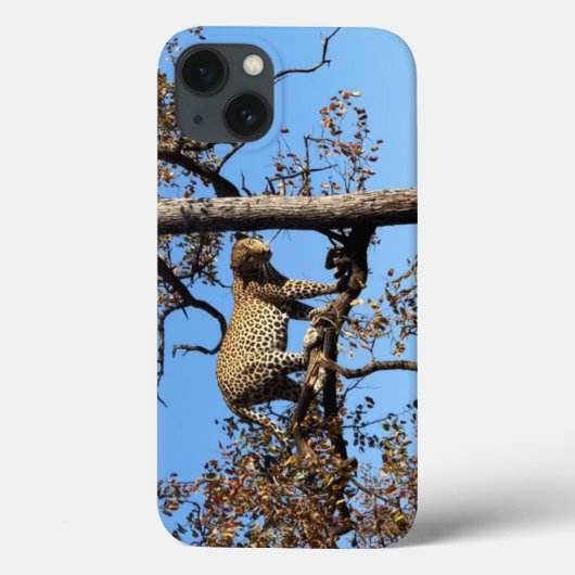 Luipaard in een boom in Afrika Case-Mate iPhone Case (Achterkant)