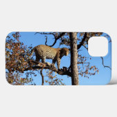 Luipaard in een boom in Afrika Case-Mate iPhone Case (Achterkant (horizontaal))