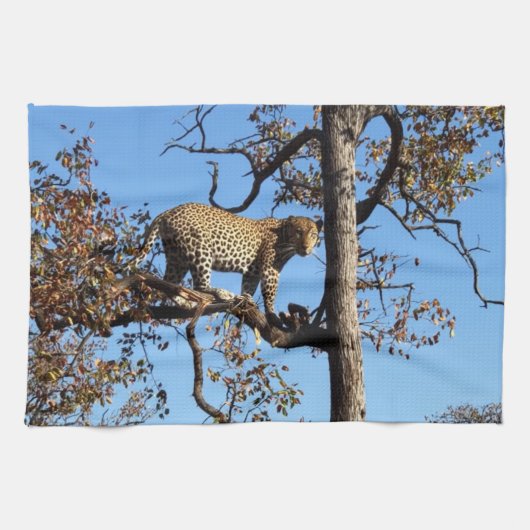 Luipaard in een boom in Afrika Theedoek (Horizontaal)