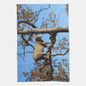 Luipaard in een boom in Afrika Theedoek (Verticaal)