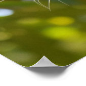 Luipaard in een boom poster (Hoek)