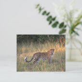 Luipaard in het Briefkaart Savanna (Staand voorkant)