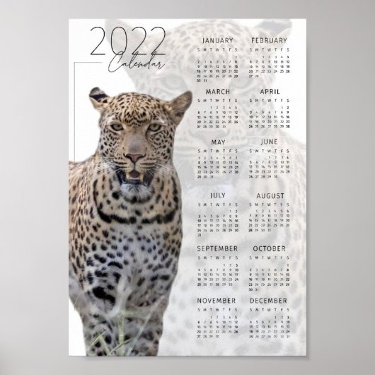 Luipaard in het wild 2022 Agenda Poster (Voorkant)