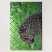 Luipaard in kooi legpuzzel (Verticaal)
