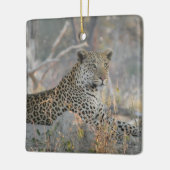 LUIPAARD IN RUST KERAMISCH ORNAMENT (Links)