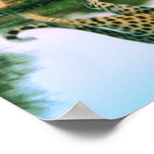 Luipaard in water poster (Hoek)