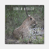 Luipaard in Zuid-Afrika Magneet (Voorkant)