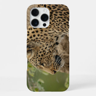 Luipaard iPhone 16 Pro Max Hoesje