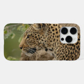 Luipaard iPhone Hoesje (Achterkant horizontaal)