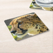 luipaard kartonnen onderzetters (Schuin)