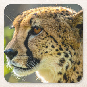 luipaard kartonnen onderzetters